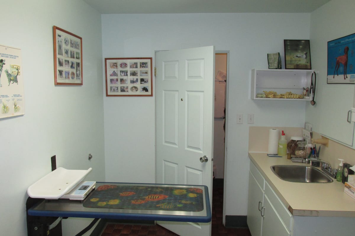 One of the hospital's exam rooms, with the exam table and a scale