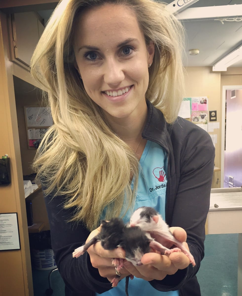 Dr. Jordie Schnarr